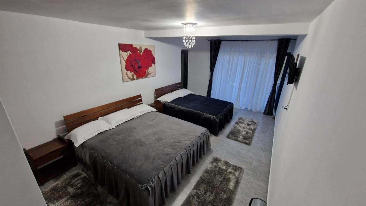 Casa De Vacanta Larisa Novaci-Străini Εξωτερικό φωτογραφία